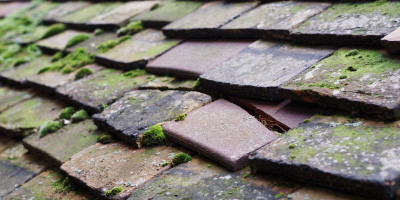 Meads roof repair costs